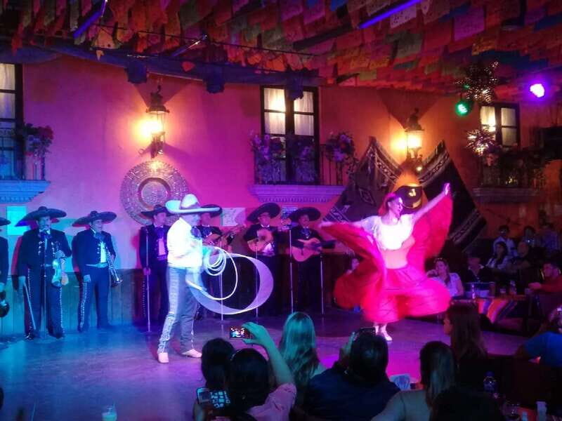 Garibaldi by Night with Dinner at Bellini - Who Should Consider This Tour?