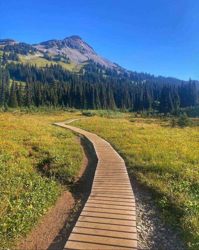 Garibaldi Park/ Panorama Ridge/ Hiking Day Trip - Wildflower Meadows and Wildlife