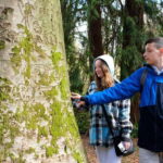 Gastown Discovery: A Family Tour Through Vancouvers Heart - The Value of the Experience