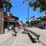 Gatlinburg Scavenger Hunt and Sights Self Guided Tour - Authentic Insights from Reviews