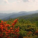 Gatlinburg: Smoky Mountain Appalachian Bald Guided Hike - What’s Included and What’s Not