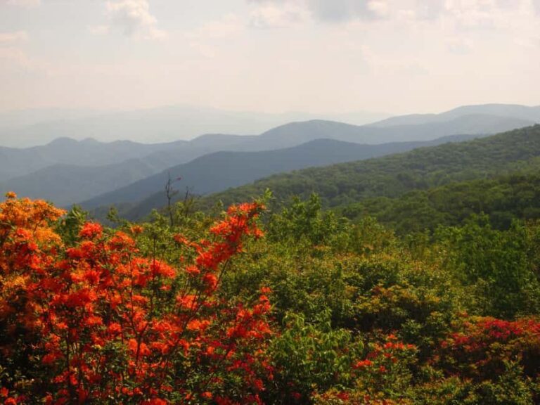 Gatlinburg: Smoky Mountain Appalachian Bald Guided Hike - What’s Included and What’s Not
