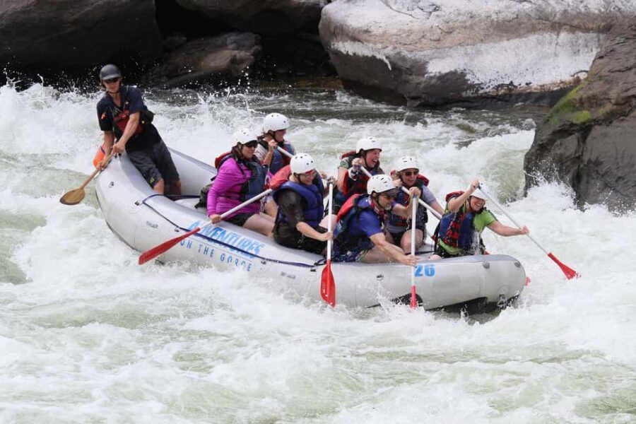 Gauley River: Lower Gauley Full Day Whitewater Rafting Tour - Pricing and Value