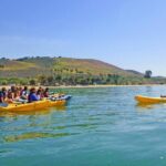 Gaviota Coast Kayak Tour Near Santa Barbara (3.5 Hours) - What Makes This Tour Stand Out?