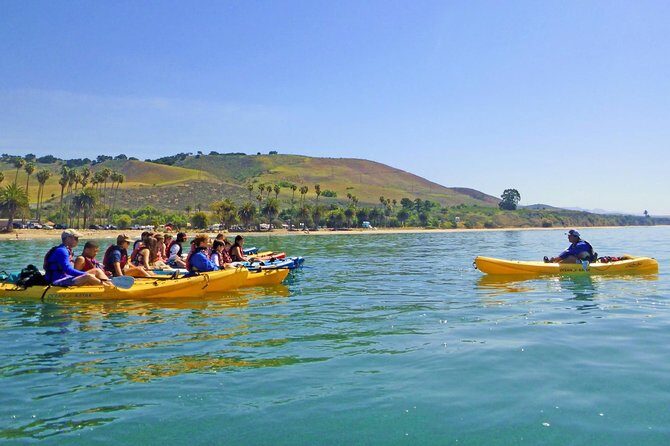 Gaviota Coast Kayak Tour Near Santa Barbara (3.5 Hours) - What Makes This Tour Stand Out?