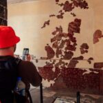 General admission to Teotihuacan and museums - In-Depth Look at the Experience