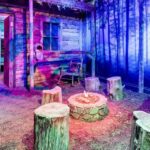 Georgetown, Washington DC: Escape Room Adventure - The Themed Rooms & Their Appeal