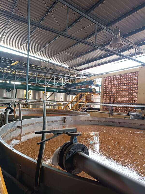 Get on Chile: know everything about tequila in "La Rienda" - The Practical Details