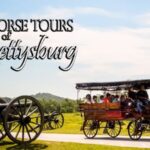 Gettysburg: Horse-Drawn Carriage Battlefield Tour - What the Reviews Say: Authentic Perspectives