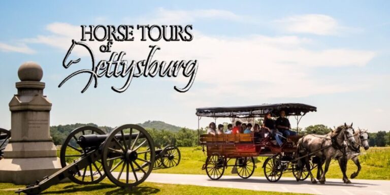 Gettysburg: Horse-Drawn Carriage Battlefield Tour - What the Reviews Say: Authentic Perspectives