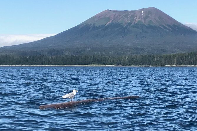 Ghosts of Historic Sitka - Walking Tour - Who Should Consider This Tour?
