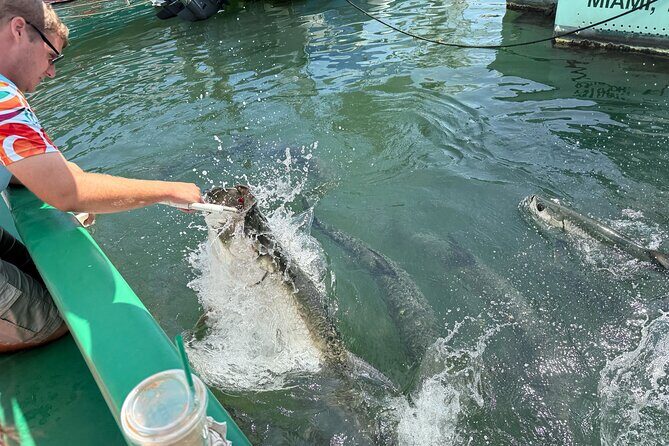 Giant Tarpon Fish Feeding Experience in Bayside Marketplace - The Experience from a Traveler’s Perspective