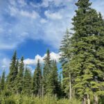 Glacial Lake, Waterfall and rainforest. Beauty of Turnagain! - Who Is This Tour Best For?