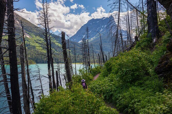 Glacier National Park Self-Guided Driving Audio Tour - The Real Experience: What Travelers Say
