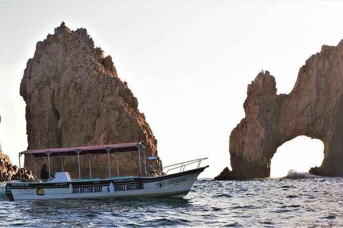 Glass Bottom Boat Sightseeing Tour in Cabo San Lucas - Who Will Love This Tour?