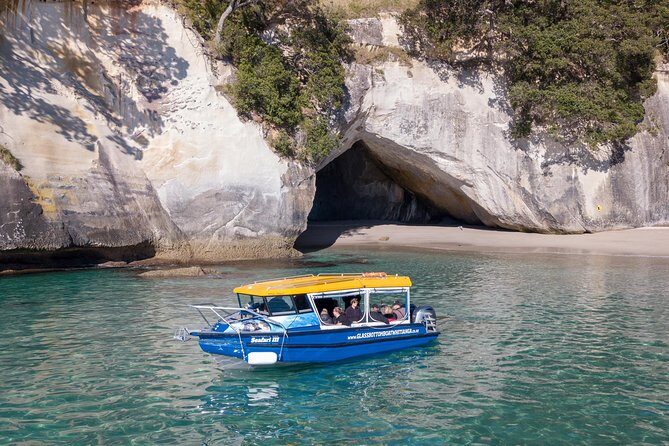 Glass Bottom Boat Whitianga Cathedral Cove Cruise - Who Will Love This Tour?