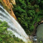 Glow Worms + Day/Night Rainforest & Waterfalls Experience - FAQ