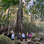 Glow-worms, Waterfalls & Rainforest Experience - What Travelers Say