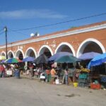 Go Maya by bike in Valladolid (Local market-Cenotes-Mayan Family) - The Bottom Line: Who Is This Tour Perfect For?