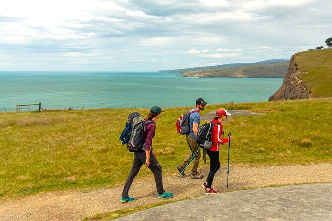 Godley Head & Lyttelton Scenic Drive & Guided Walk (Private Tour) - FAQ