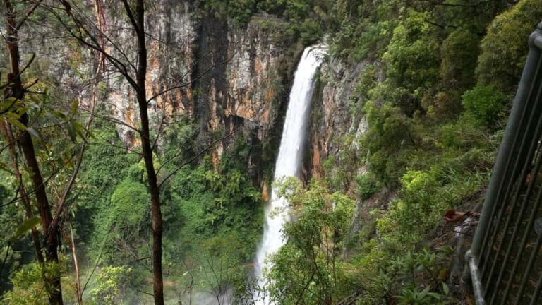 Gold Coast: Natural Bridge & Springbrook Waterfalls Tour - Practical Details and What to Expect