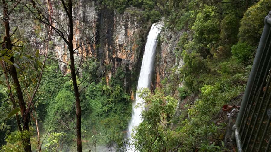 Gold Coast: Natural Bridge & Springbrook Waterfalls Tour - Practical Details and What to Expect