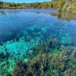 Golden Bay in a Day - The Full Experience: A Deep Dive into Golden Bay in a Day