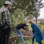 Golden Gate Park Wildlife Walking Tour - The Experience in Detail