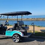 Golf Cart Rentals LSV in Carlsbad - The Real Deal with the Golf Cart Rental Experience