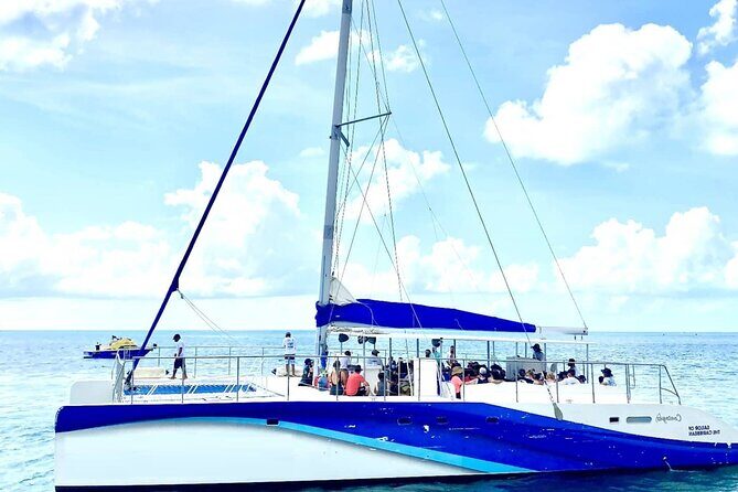 Gorgeous Contoy Adventure! Round Transportation from Cancun & Riviera Maya - What the Reviews Say