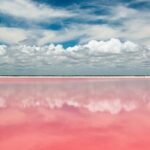 Gorgeous Natural Pink Lake, Las Coloradas Tour! From Cancun & Riviera Maya - Is It Worth the Price?