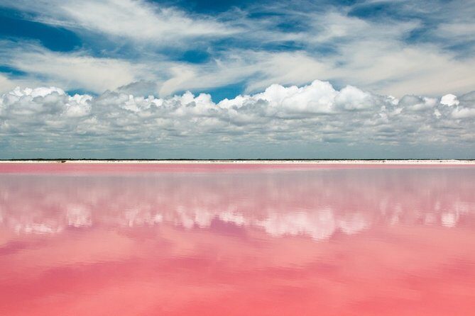 Gorgeous Natural Pink Lake, Las Coloradas Tour! From Cancun & Riviera Maya - Is It Worth the Price?