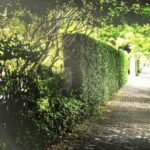 Gossip & Grandeur: A Stroll Through NOLAs Garden District - Is This Tour Worth It?