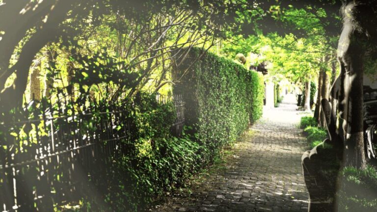 Gossip & Grandeur: A Stroll Through NOLAs Garden District - Is This Tour Worth It?