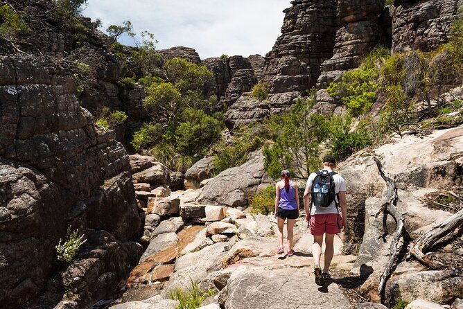 Grampians National Park Small-Group Eco Tour from Melbourne - Who Would Enjoy This Tour?