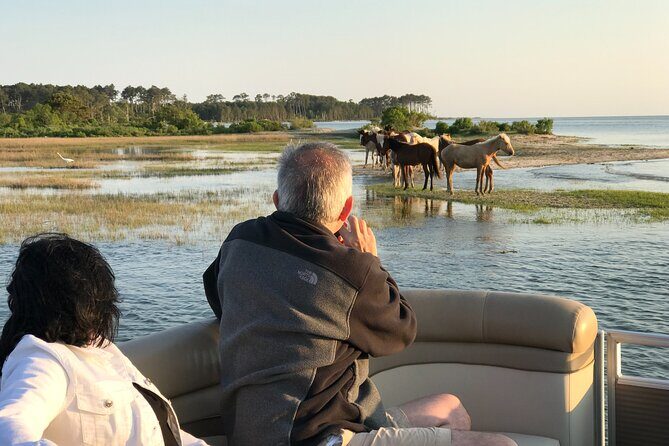 Grand Boat Tour around Chincoteague and Assateague Islands - The Experience and Guides