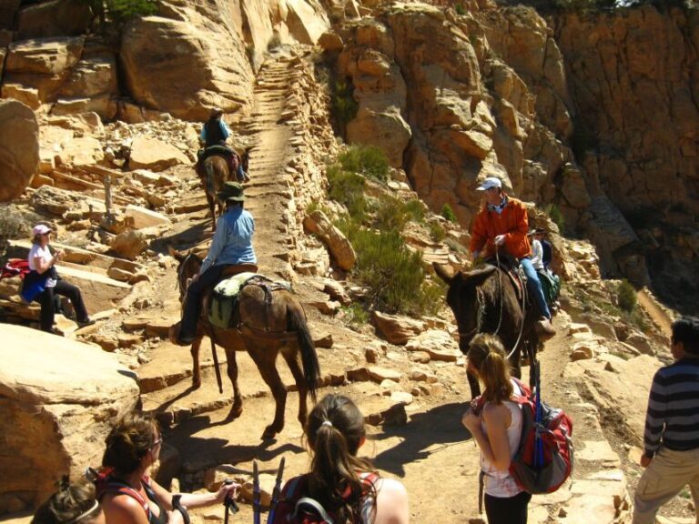 Grand Canyon Full-Day Hike from Sedona or Flagstaff - The Real Value of This Experience