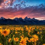 Grand Teton: Private Guided Tour (Sunset) - Who Should Consider This Tour?