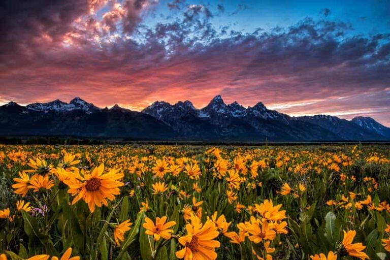 Grand Teton: Private Guided Tour (Sunset) - Who Should Consider This Tour?