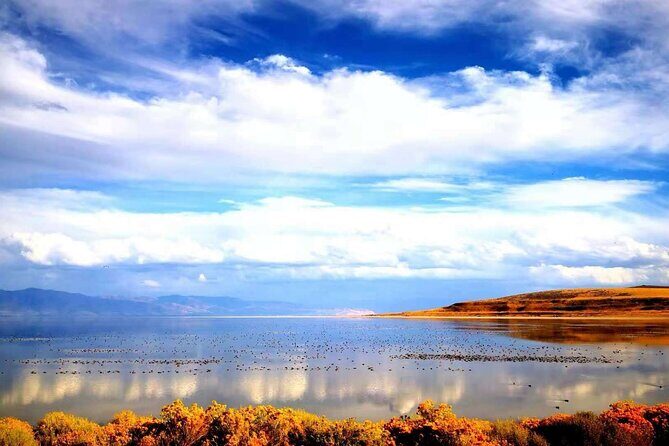 Grand Teton, Yellowstone, and Glacier National Parks 8-Day Tour - Who Is This Tour Best For?