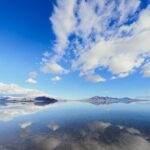 Grand Teton, Yellowstone, Devils Tower and Mount Rushmore 7-day Tour - The Experience and Its Value