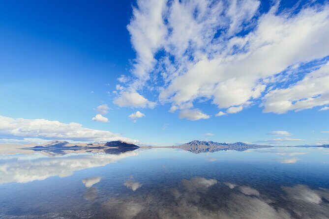 Grand Teton, Yellowstone, Devils Tower and Mount Rushmore 7-day Tour - The Experience and Its Value