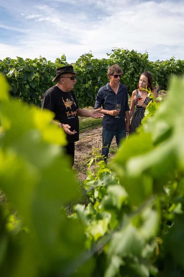 Grape to Glass Master Class - The Experience in Detail