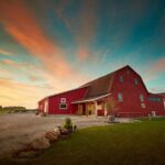 Grape to Glass Wine Experience - Who Should Consider This Tour?