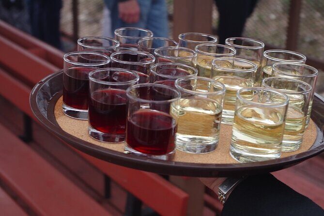 Grape Train Escape: Wine Tasting and Verde Canyon Railroad Adventure - Who Should Consider This Tour?