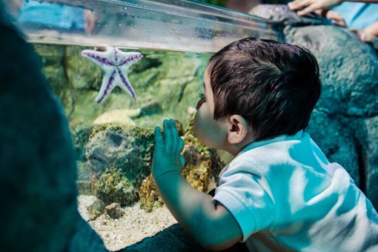 Grapevine: SEA LIFE Grapevine Aquarium General Admission - What Makes This Aquarium Stand Out?