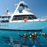 Great Barrier Reef Cruise from Townsville or Magnetic Island - Who Is This Tour Best Suited For?