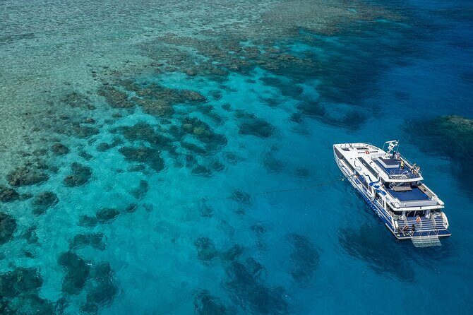 Great Barrier Reef Full Day Tour from Cairns - What to Expect on Your Reef Journey