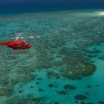Great Barrier Reef or Rainforest Scenic Flights from Port Douglas - What Makes It Worth the Price?