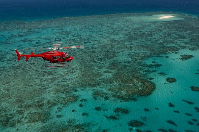 Great Barrier Reef or Rainforest Scenic Flights from Port Douglas - What Makes It Worth the Price?